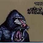 Charlie Hunter - Baboon Strength