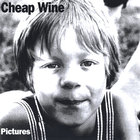 Cheap Wine - Pictures