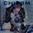 Chiasm - Embryonic