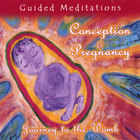 Guided Meditations for Conception and Pregnancy