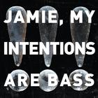 Chk Chk CHk - Jamie, My Intentions Are Bass