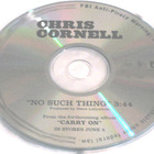 Chris Cornell - No Such Thing