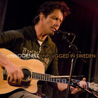 Chris Cornell - Unplugged in Sweden