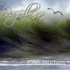 Chris Madsen - Seagull In Flight