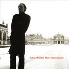 Chris Whitley - Hotel Vast Horizon