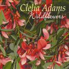 Clelia Adams - Wildflowers