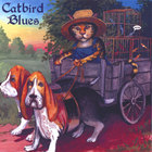 Clyde Cotton Band - Catbird Blues