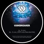 Codebreaker - R.I.M.L.