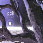 Coil - Musick to Play in the Dark, Vol. 2