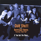 Cold Shott and The Hurricane Horns - If You Got The Blues...