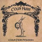 Colin Hare - Down From Pitswood