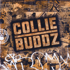 Collie Buddz - Collie Buddz