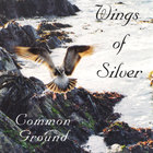 Common Ground - Wings of Silver