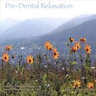 Connie Burgstahler - Pre-Dental Relaxation