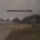 Songs Sung in Small Rooms