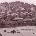 Consortium - Potomac and Shenandoah