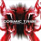 Cosmic Tribe - Hypersonic Scream