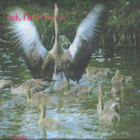 Crow44 - Look, I'm Over Here