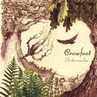 Crowfoot - As The Crow Flies