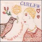 Curlew - Meet The Curlews!