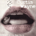Curtis Wayne - A Moment in the Real World