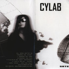 Cylab - Satellites