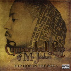 Hip-Hop In The Soul