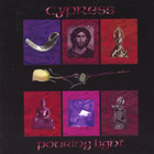 Cypress - Pouring light