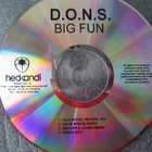 D.O.N.S. - Big Fun (Remixes) CDM