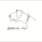 Damien Rice - Dogs CD1