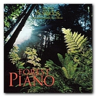 Dan Gibson - Forest Piano