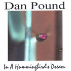Dan Pound - In A Hummingbird's Dream