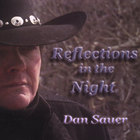 Dan Sauer - Reflections In The Night