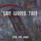 dan weiss trio - Now Yes When