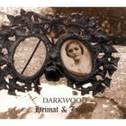 Darkwood - Heimat Und Jugend