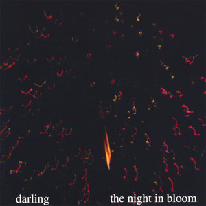 The Night In Bloom