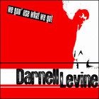 DARNELL LEVINE - We Gon' Use What We Got (Digital Version)