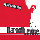 DARNELL LEVINE - We Gon' Use What We Got