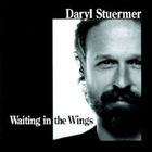 Daryl Stuermer - Waiting in the Wings