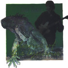 Dave Baker - Dance of the Iguana