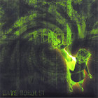 Dave Boholst - the green album