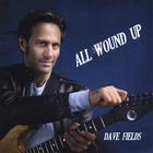 Dave Fields - All Wound Up