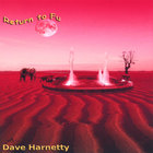 Dave Harnetty - Return to Fu