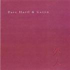 Dave Hartl & Gaijin - Dave Hartl & Gaijin