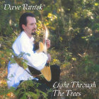 Dave Patrick - Light Through The Trees