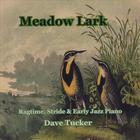 Dave Tucker - Meadow Lark