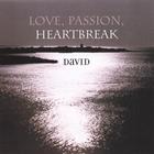 David - Love Passion Heartbreak