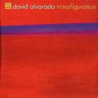 David Alvarado - Transfiguration