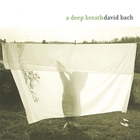 david bach - A Deep Breath