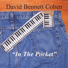 David Bennett Cohen - In The Pocket